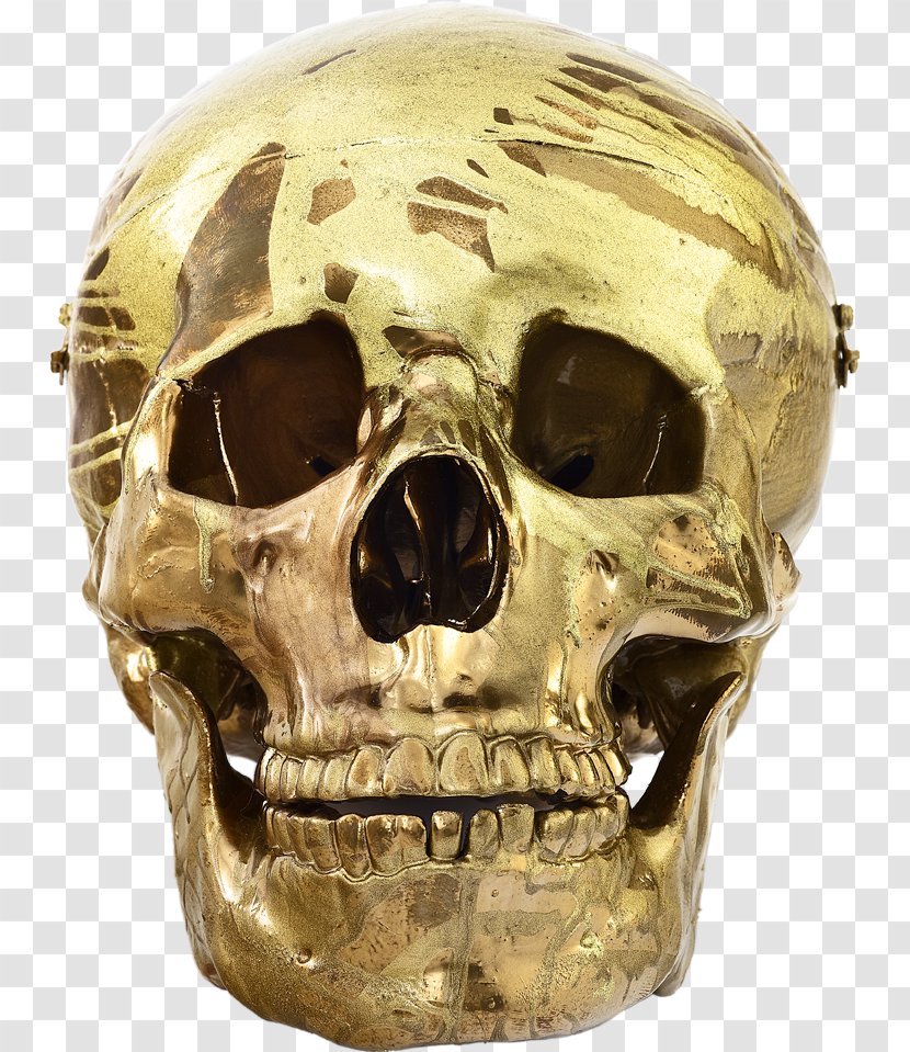 Skull Damien Hirst: Schizophrenogenesis Artist Sculpture - Hirst Artwork Transparent PNG