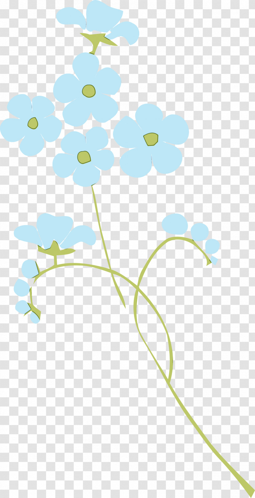 Floral Design Transparent PNG