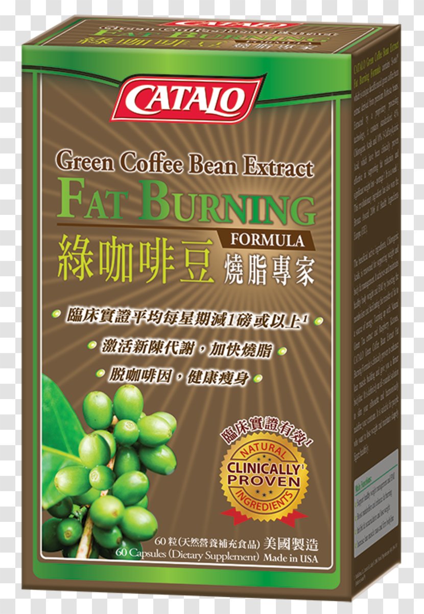 Coffee Bean Green Extract CATALO Food - Watercolor Transparent PNG