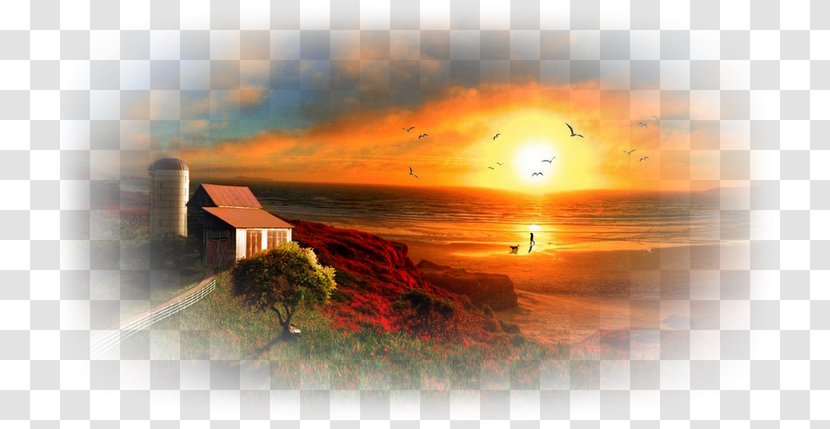 Grace In Christianity Bible Landscape God Repentance - Flower - Igreja Transparent PNG