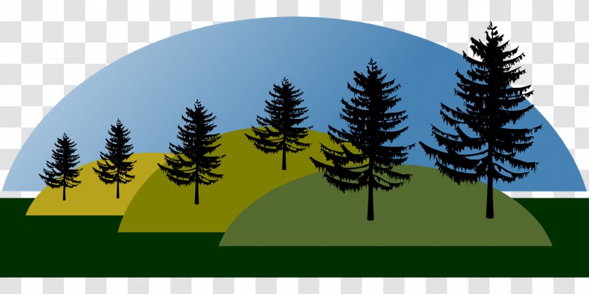 Nature Landscape Hill - Grass - Mountain Transparent PNG
