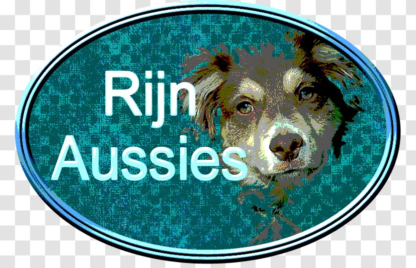 Dog Breed Puppy Australian Shepherd Whist Font Transparent PNG