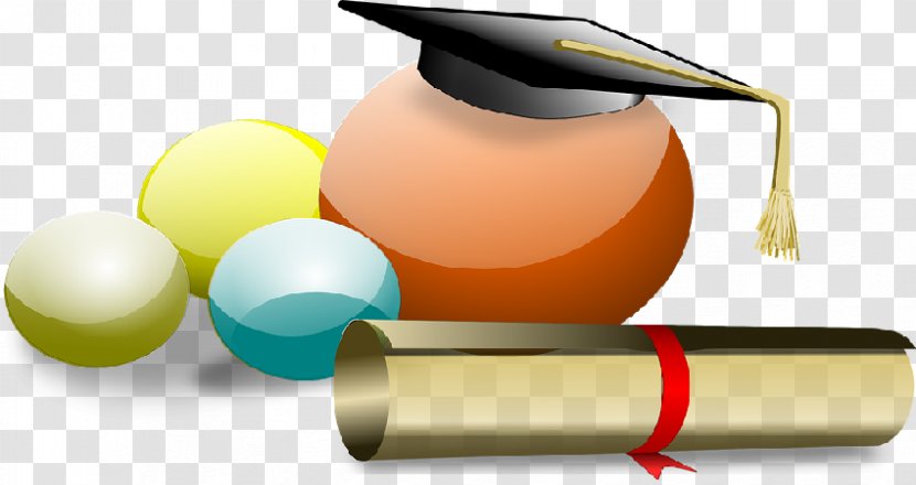 Graduation Ceremony Clip Art - Diploma - News Studio Transparent PNG