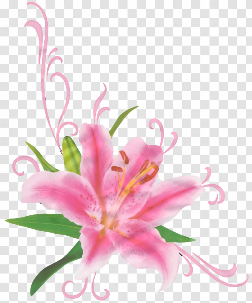 Flower Floral Design Desktop Wallpaper Clip Art - Flora - Bunch Transparent PNG