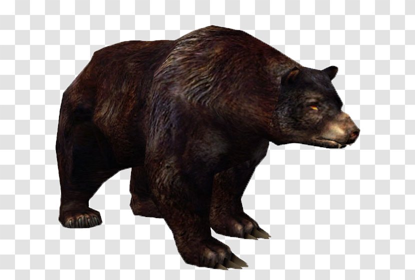 Grizzly Bear Metin2 American Black Alaska Peninsula Brown Animal - Pl Transparent PNG