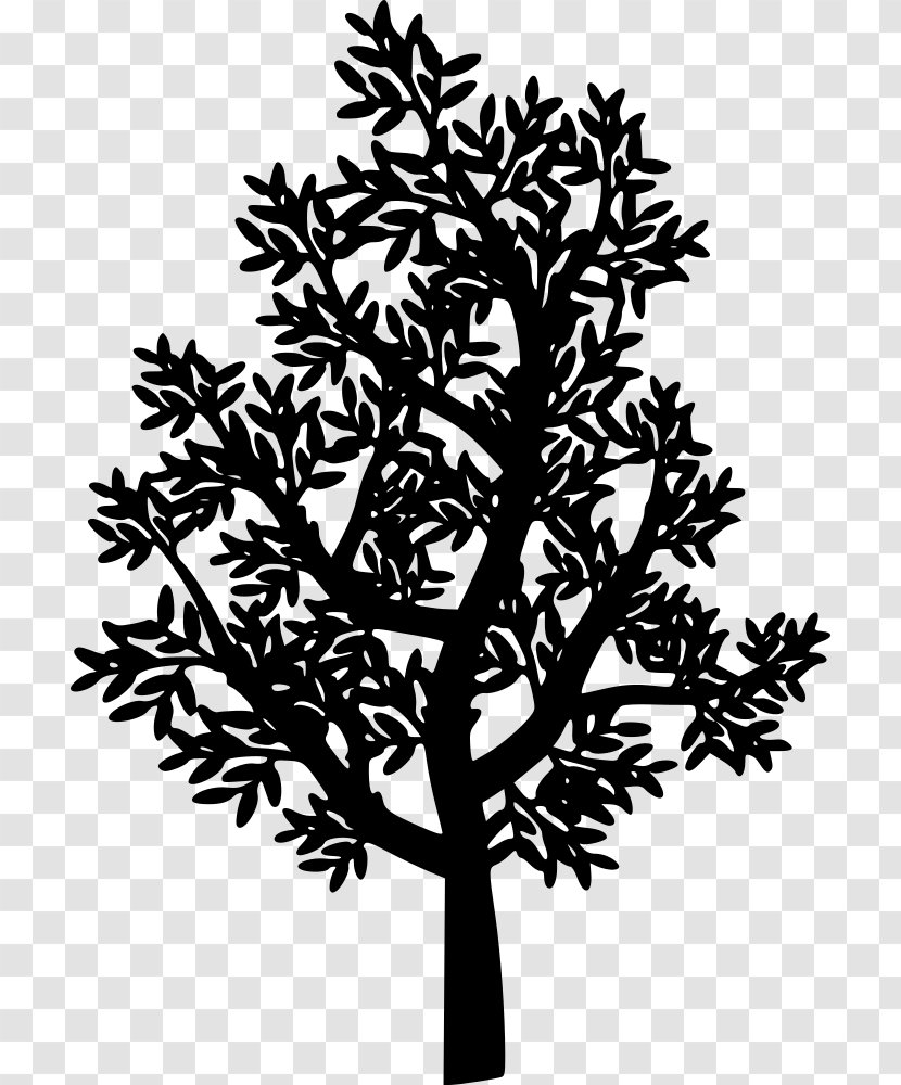 Twig Clip Art - Flower - Tree Transparent PNG