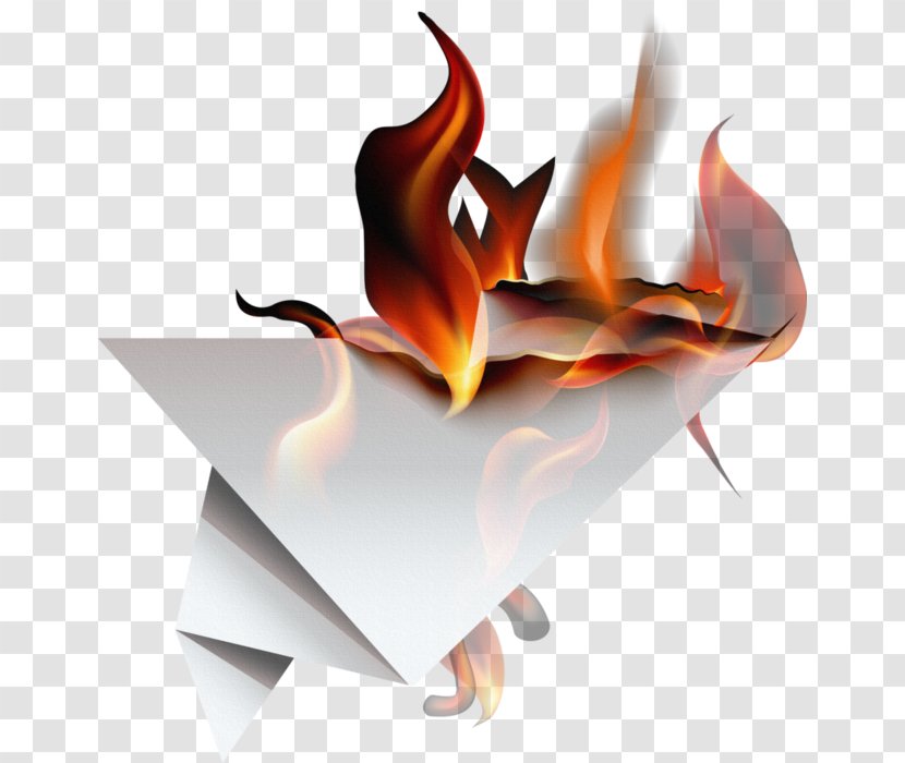 Book Paper Flame Clip Art - Fire Transparent PNG