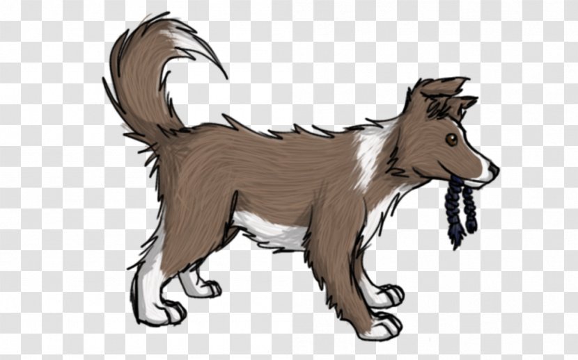 Dog Red Fox Cat Fur Fauna - Blackstone Transparent PNG