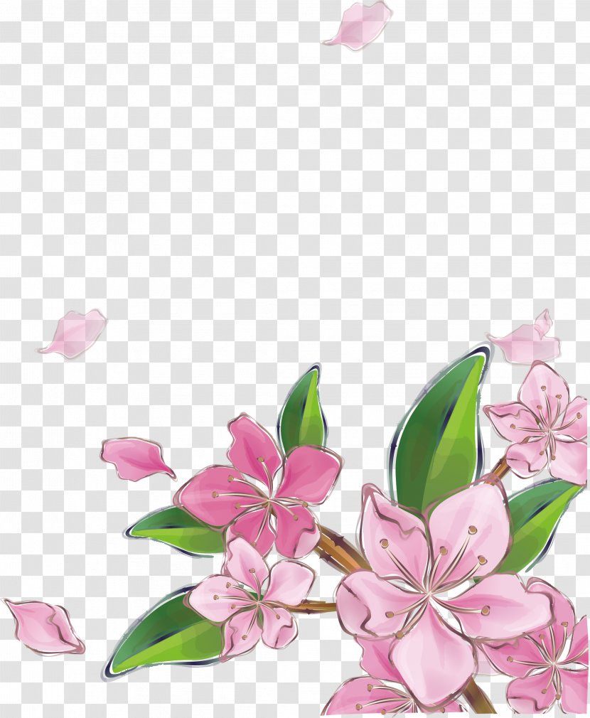 Pink Peach Blossom Vector - Wallpaper - Daytime Transparent PNG