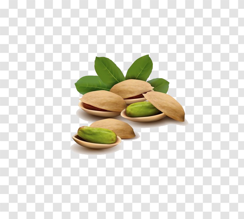 Pistachio Ice Cream Nut Illustration - Peanut - Green Pistachios Transparent PNG