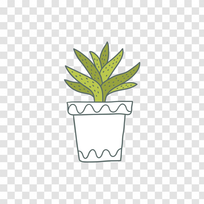 Cactaceae Bonsai - Flower - Green Aloe Transparent PNG