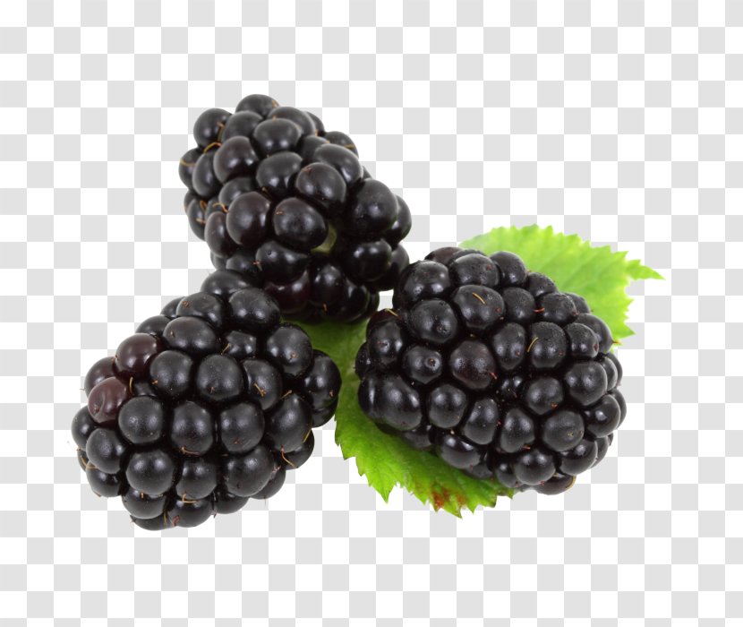BlackBerry Fruit - Loganberry - Blackberry Transparent PNG