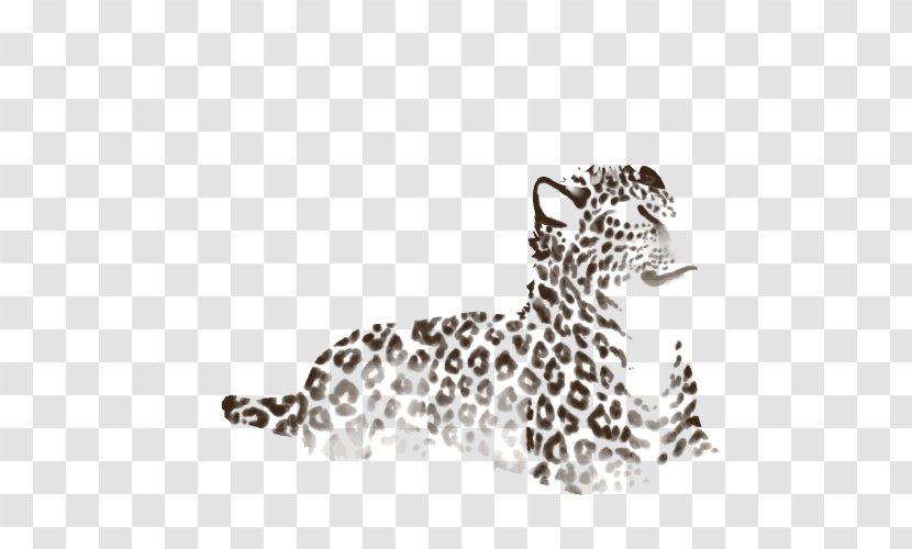 Leopard Jaguar Cheetah Whiskers White - Organism Transparent PNG