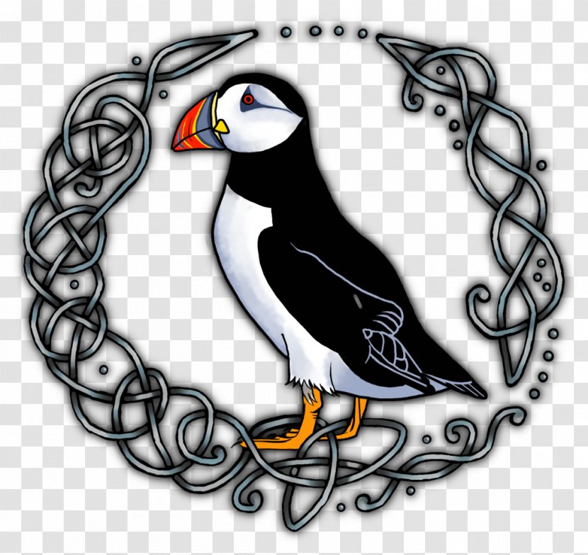 Beak Seabird Atlantic Puffin Penguin - Flightless Bird Transparent PNG