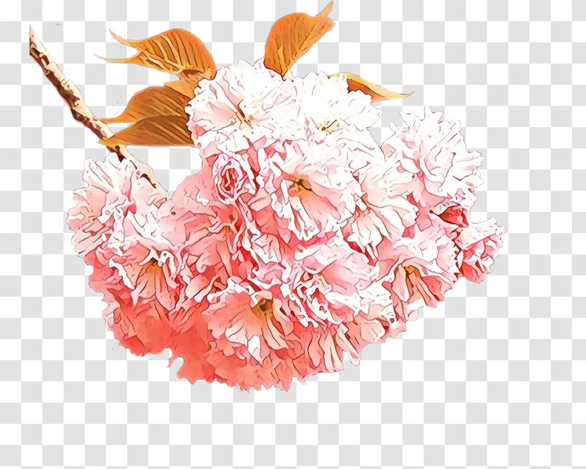 Cherry Blossom - Peach Transparent PNG