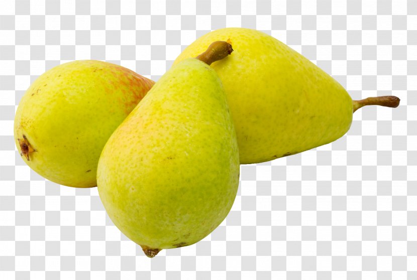 Pear Fruit - Slice Transparent PNG