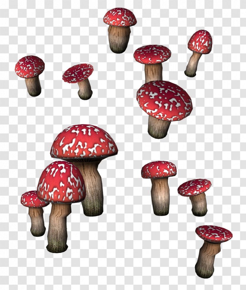 Mushroom Fungus Boletus Edulis Clip Art - Oil Transparent PNG