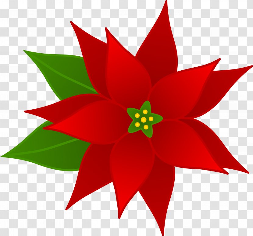 Clip Art Christmas Poinsettia Openclipart Free Content - Blue Transparent PNG