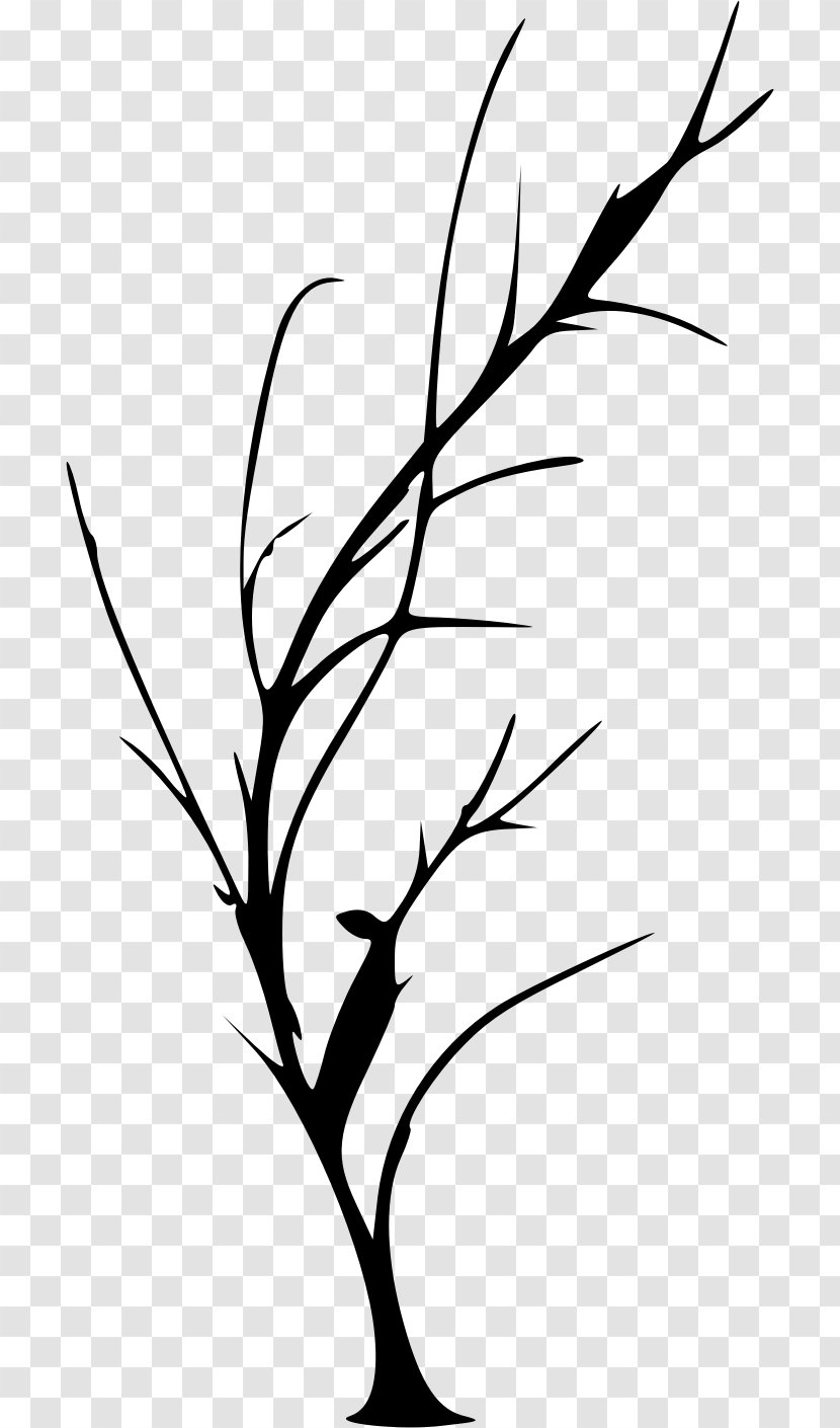 Drawing Twig Clip Art - Black And White - Silhouette Transparent PNG