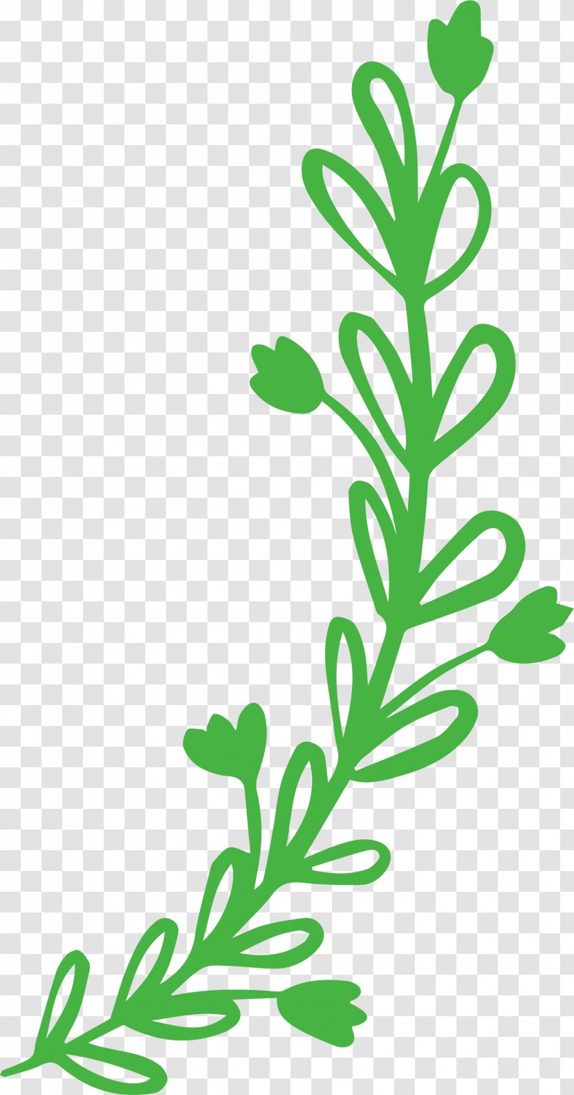 Plant Stem Leaf Leaf Vegetable Flower Meter Transparent PNG