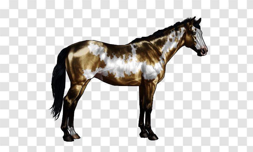 American Paint Horse Markings White Chestnut Roan - Pack Animal - Pattern Transparent PNG