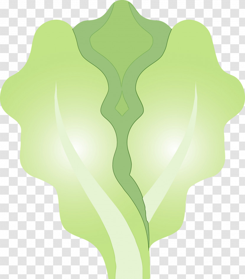Green Leaf Plant Lettuce Transparent PNG