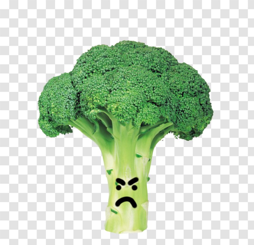 Broccoli Cabbage Vegetable Clip Art Transparent PNG