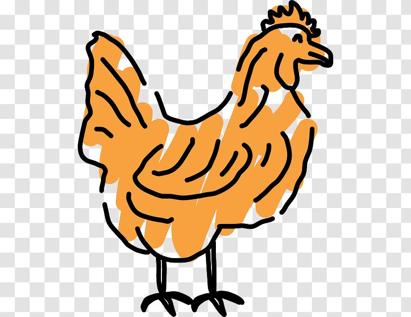 Buffalo Wing Chicken Clip Art - Bird - Chickens Vector Transparent PNG