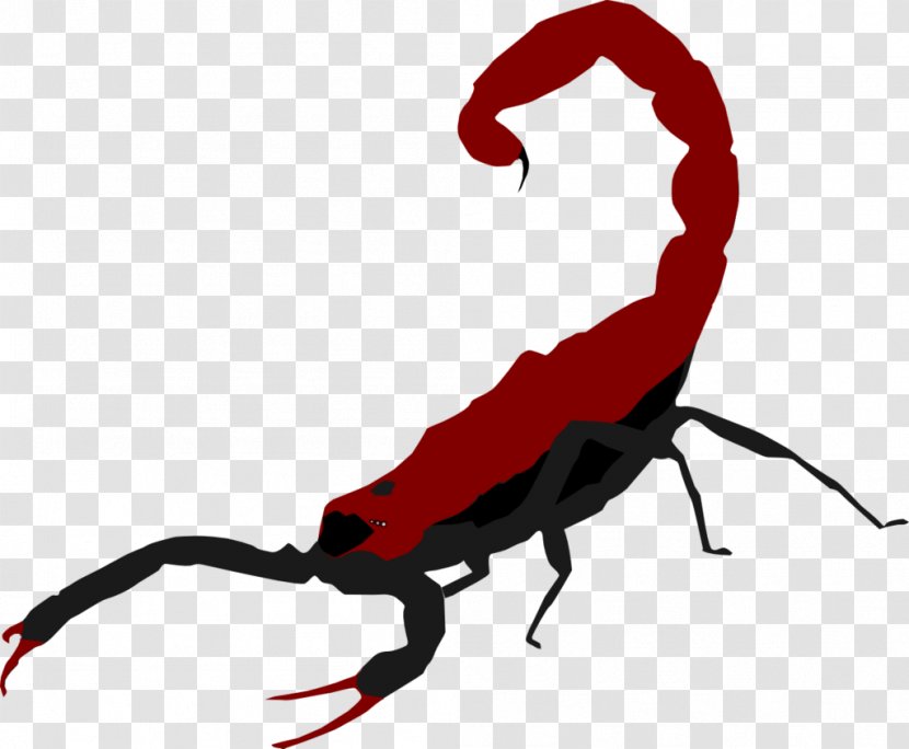 The Scorpion Royalty-free - Red - Vector Transparent PNG