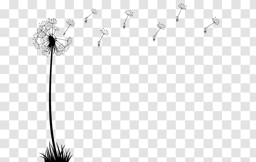 Line Flower - Branching Transparent PNG