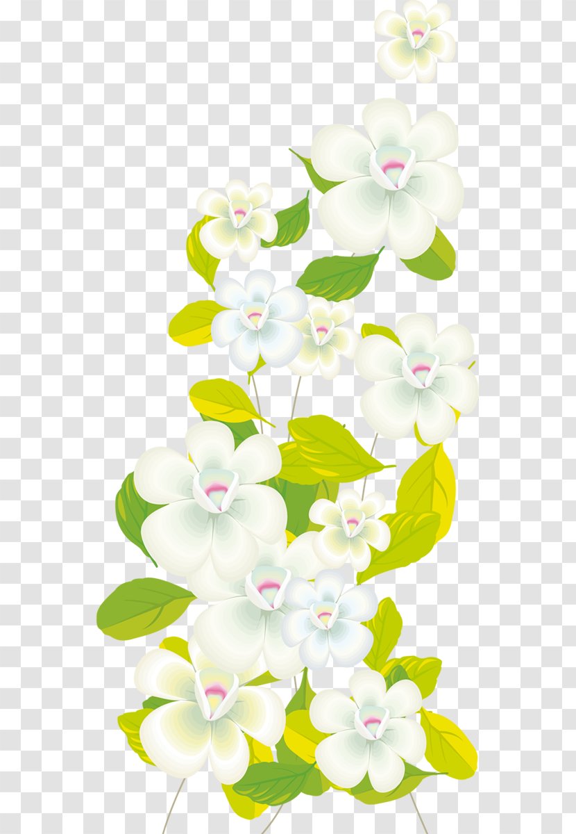 Moth Orchids Clip Art - Blossom - Photography Transparent PNG