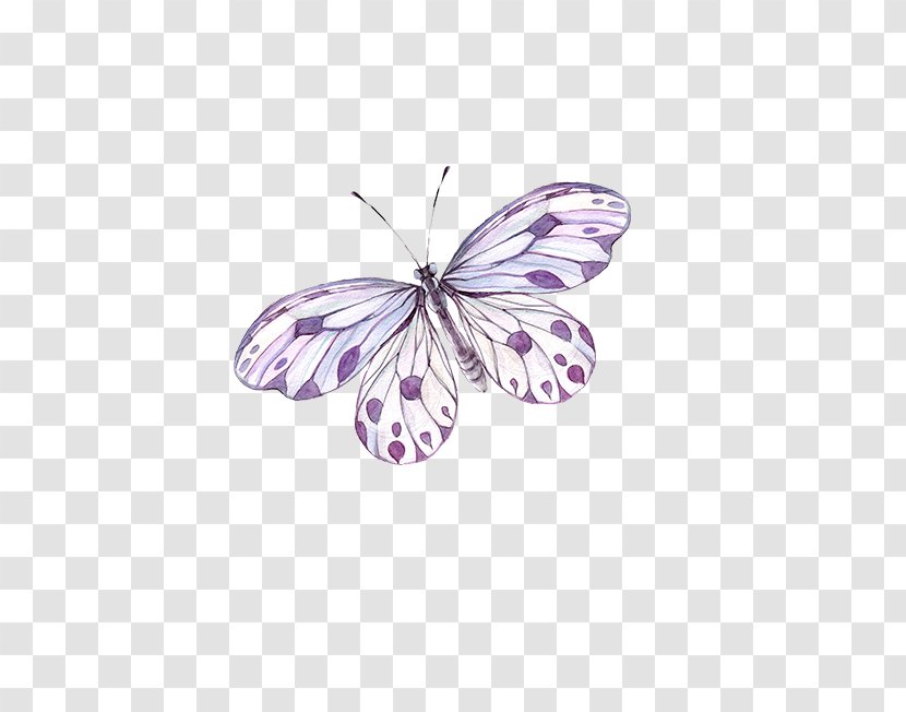 Butterfly Abziehtattoo Poetry Paper - Invertebrate - Purple Transparent PNG