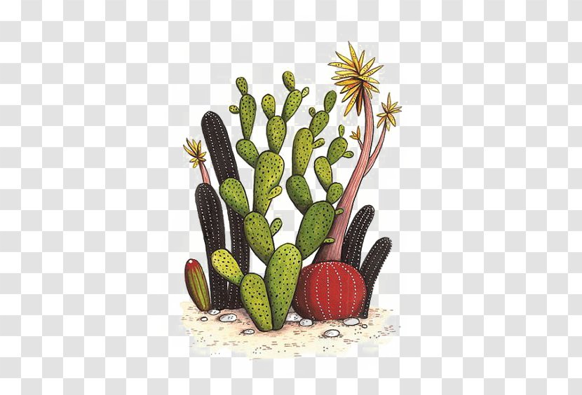 Drawing Watercolor Painting Succulent Plant Cactus Illustration - Flowering Transparent PNG