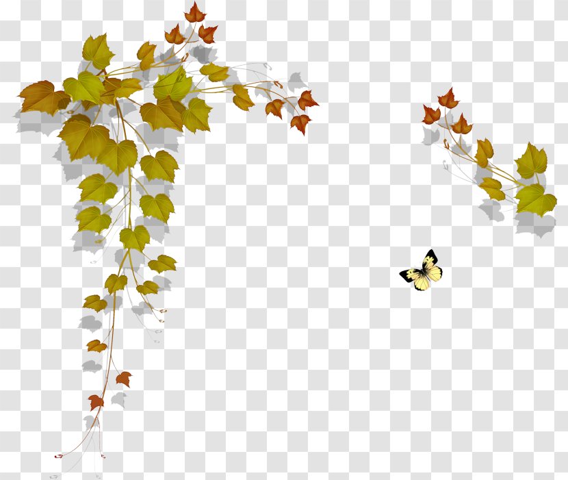 Maple Leaf Painting Paper - Tree Transparent PNG