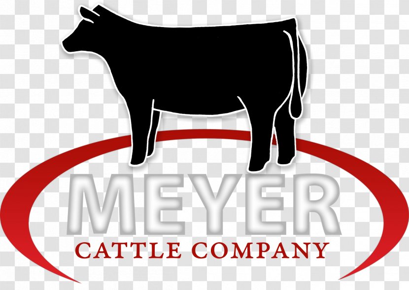 Meyer Cattle Company - Gelbvieh - Angus Shorthorn Highland CattleCattle Transparent PNG