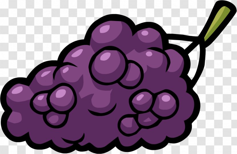 Club Penguin Smoothie Smash Grape - Flowering Plant Transparent PNG