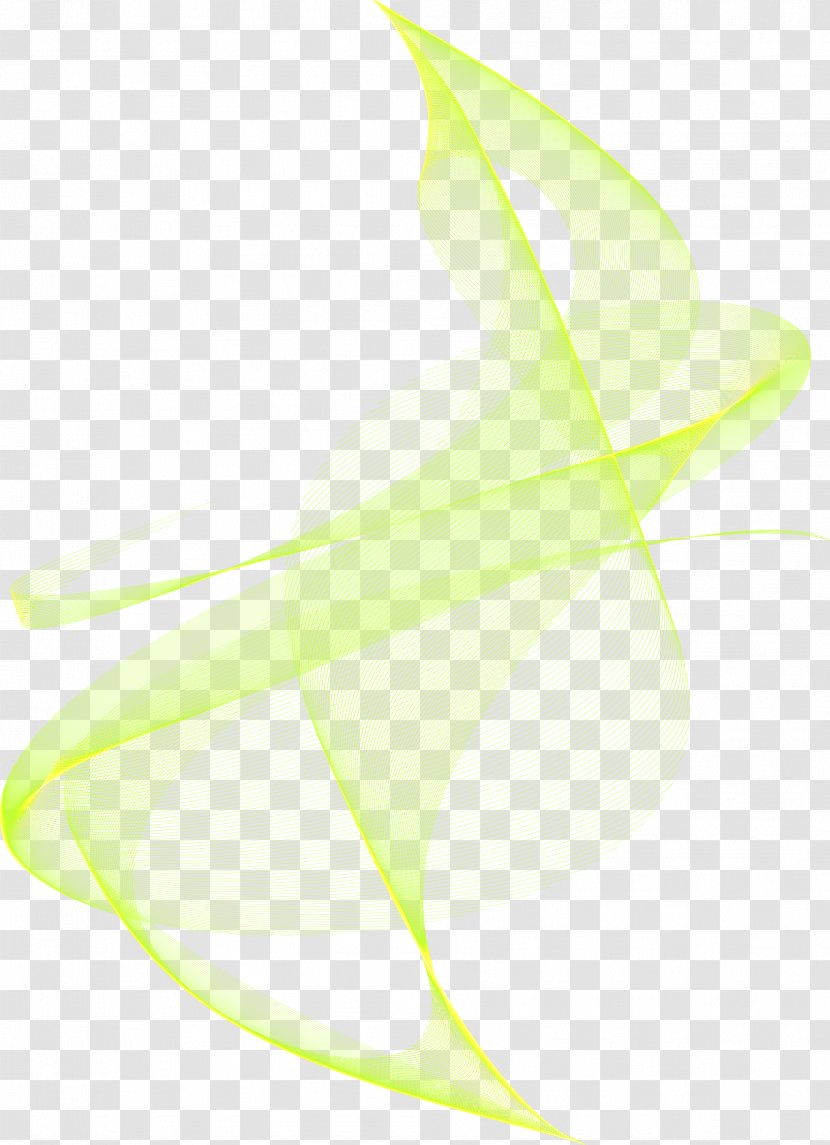 Product Design Desktop Wallpaper Leaf Angle Computer - Plants - Lace Cartoon Transparent PNG