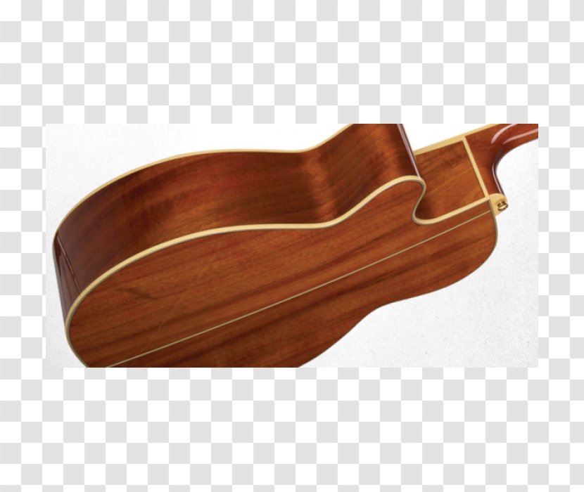 Takamine Guitars Classical Guitar /m/083vt String Instruments Musical - Varnish - Acoustic Event Transparent PNG