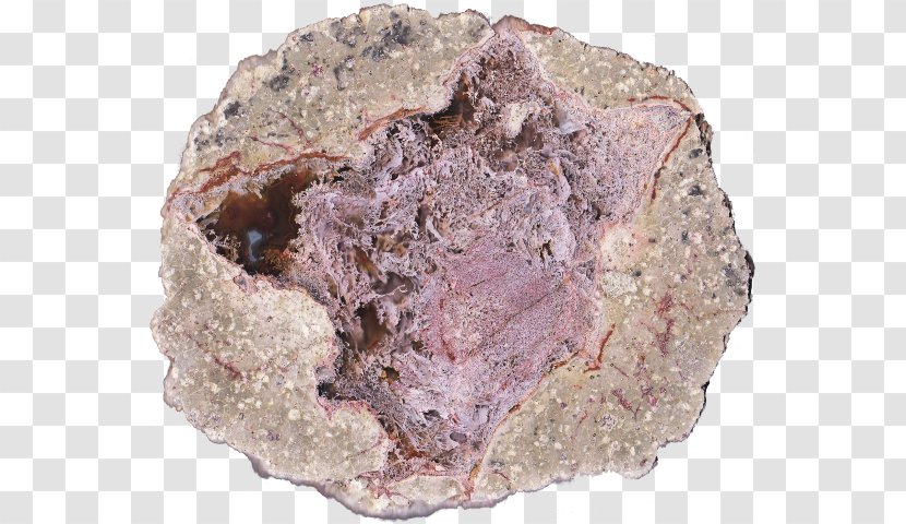 Mineral Igneous Rock Thunderegg Sales - Opal Geode Transparent PNG