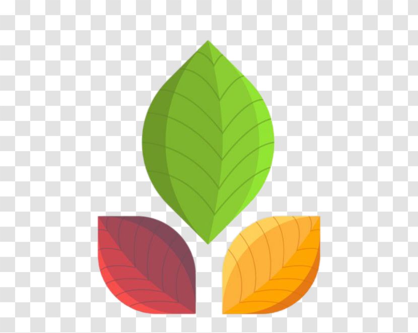 Leaf Color - Rendering - Three Clover Transparent PNG