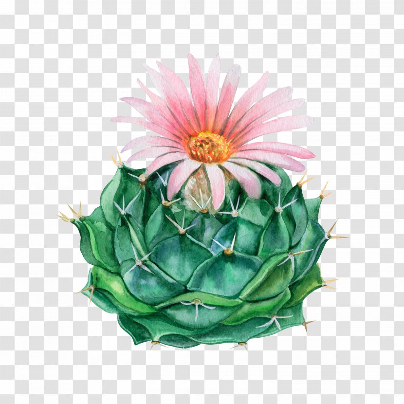 Watercolor Painting Flowerpot Royalty-free - Cactus - Blooming Season Transparent PNG