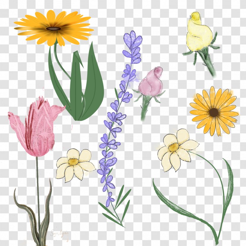 Floral Design Cut Flowers Plant Stem Transparent PNG