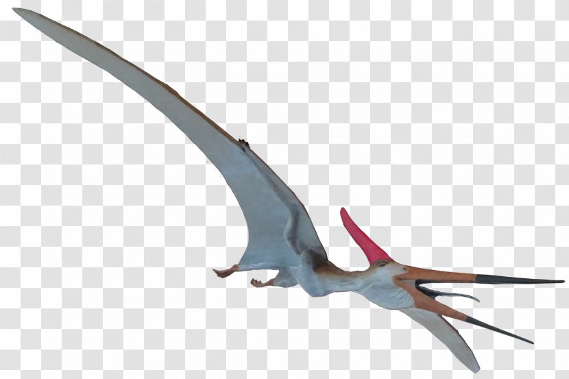 Pteranodon Mosasaurus Elasmosaurus Ichthyornis Quetzalcoatlus - Triceratops - Dinosaur Skeleton Transparent PNG