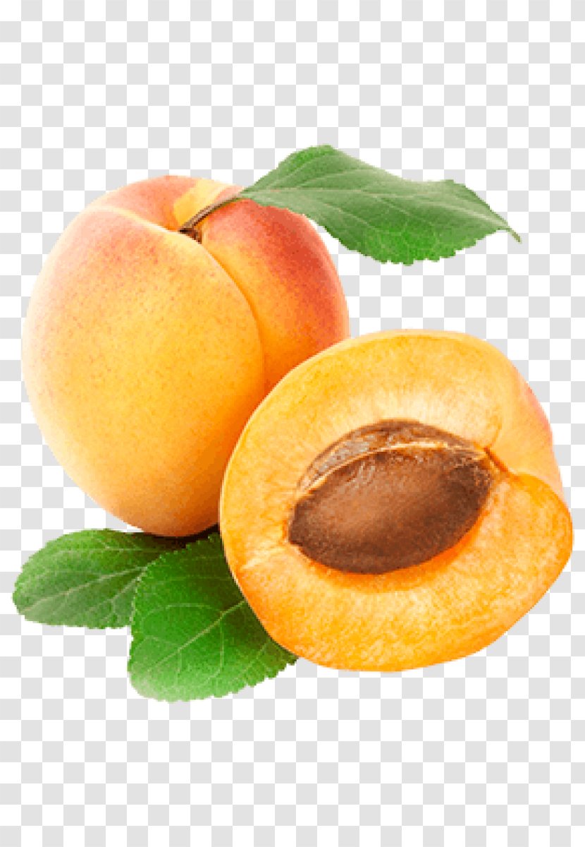 Peach Apricot Fruit Clip Art - Prunus Transparent PNG