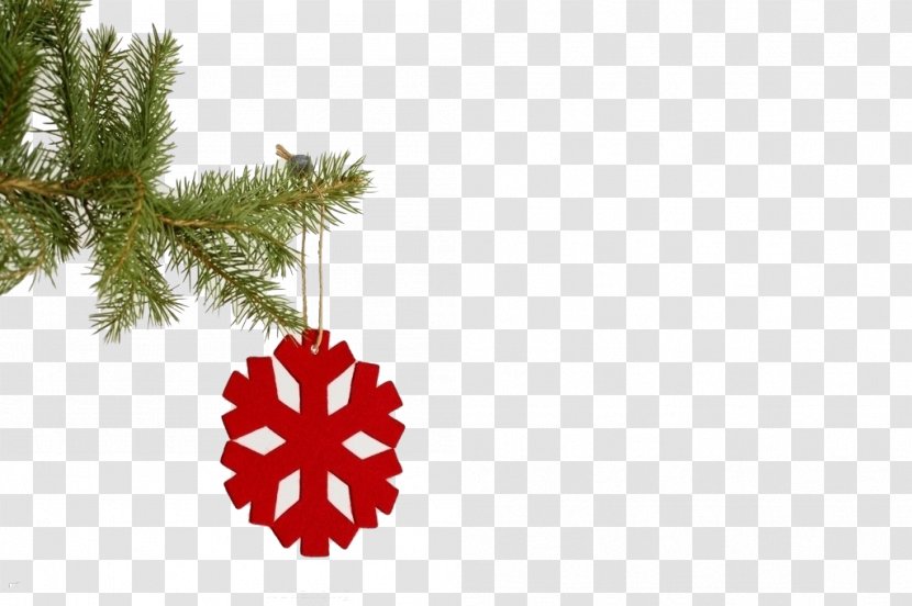Christmas Tree New Year Snowflake - Froebel Star Transparent PNG