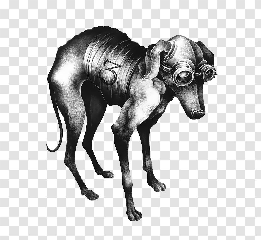 Italian Greyhound Drawing Illustration Illustrator Sketch - Marker Pen - Howls Moving Castle Art Fun Transparent PNG