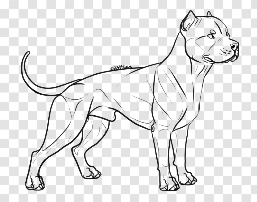 Line Art Dog Breed American Bully Pit Bull Terrier - Bulldog Transparent PNG