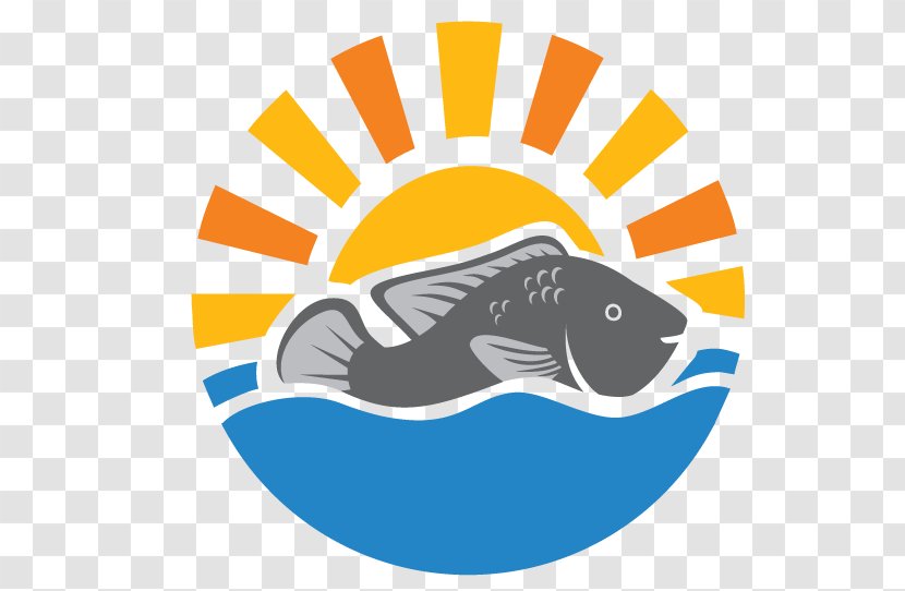 Yalelo Limited Head Office Fish Business Tilapia Aquaculture - Flower - Symbol Transparent PNG