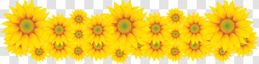 Anna Elsa Frozen Film Series Common Sunflower - Petal - Batata FRITA Transparent PNG