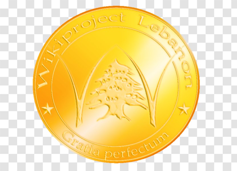 Gold Medal Bronze Olympic Silver - Project Transparent PNG